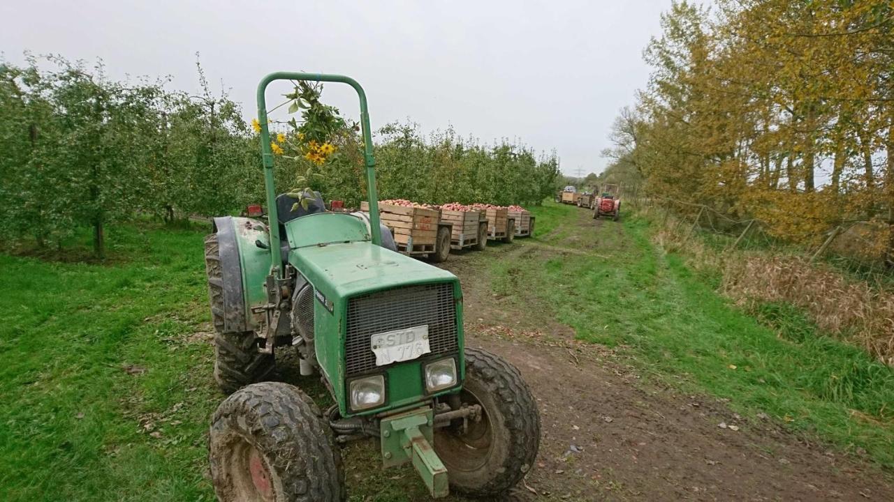 Ferienwohnung Auf Dem Bio Obsthof Twielenfleth Zewnętrze zdjęcie